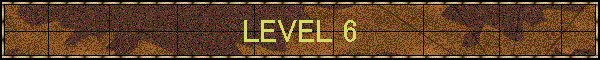 LEVEL 6